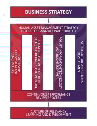 Human Asset Management Strategy.jpg