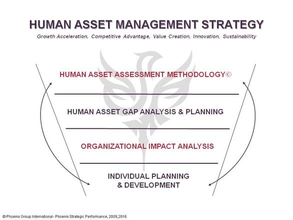 Human_Asset_Management_Strategy.jpg