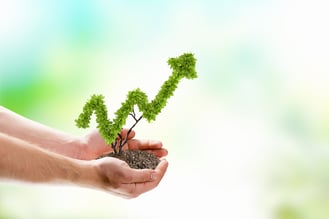 Image of human hands holding plant shaped like arrow