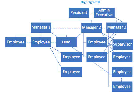 Organigram Chart