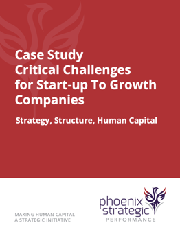 Start Up to Growth Case Study